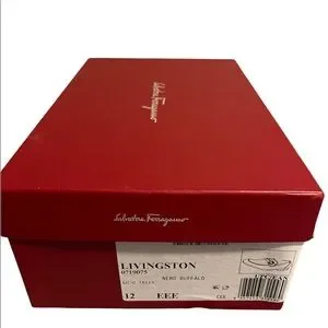 Salvatore Ferragamo | Shoes | Salvatore Ferragamo Livingston  display picture 2